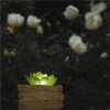 Artificial Succulents Potted with Solar Table Lamp, Garden Patio Lights for Home Party Yard Patio Outdoor Indoor Decoration Night Lamp